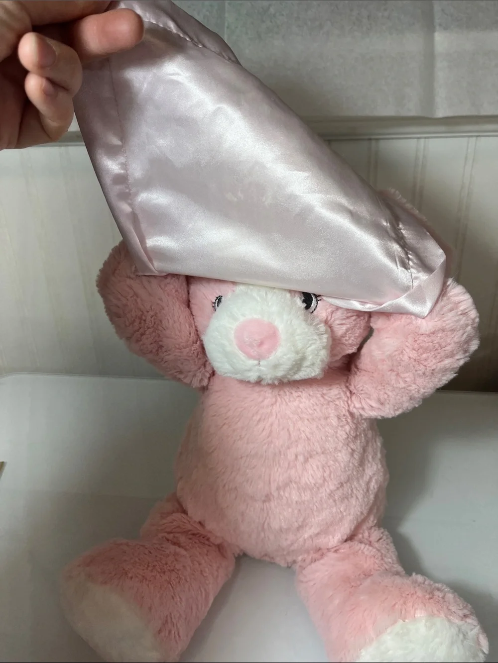 Pink Plush Puppy Lovey with Satin Trim Peek-A-Boo Stuffed Animal